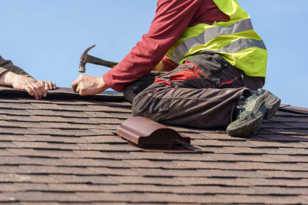 Best Metal Roofing Contractor  in Winslow, AZ