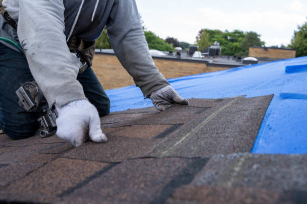 Roof Waterproofing Services in Winslow, AZ