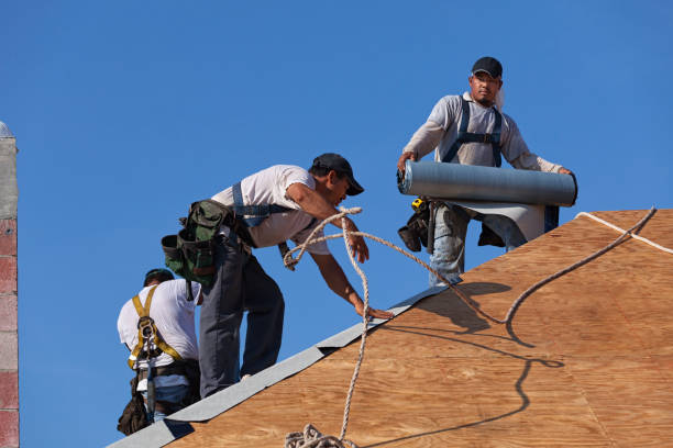 Best Roof Replacement Cost  in Winslow, AZ