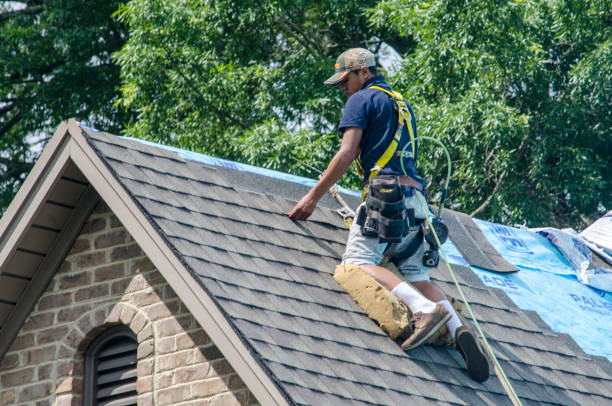 Roof Gutter Cleaning in Winslow, AZ